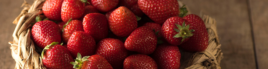 vollreife Erdbeeren für die Schnaps- und Likörherstellung