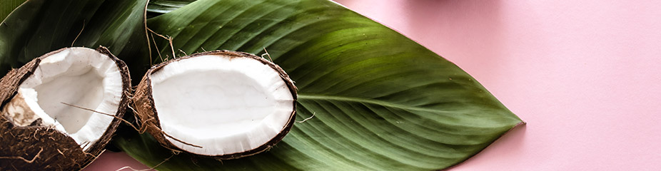 Kokosnüsse für den Prinz Rum Coconut