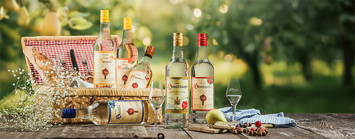 Die 34% igen von Prinz