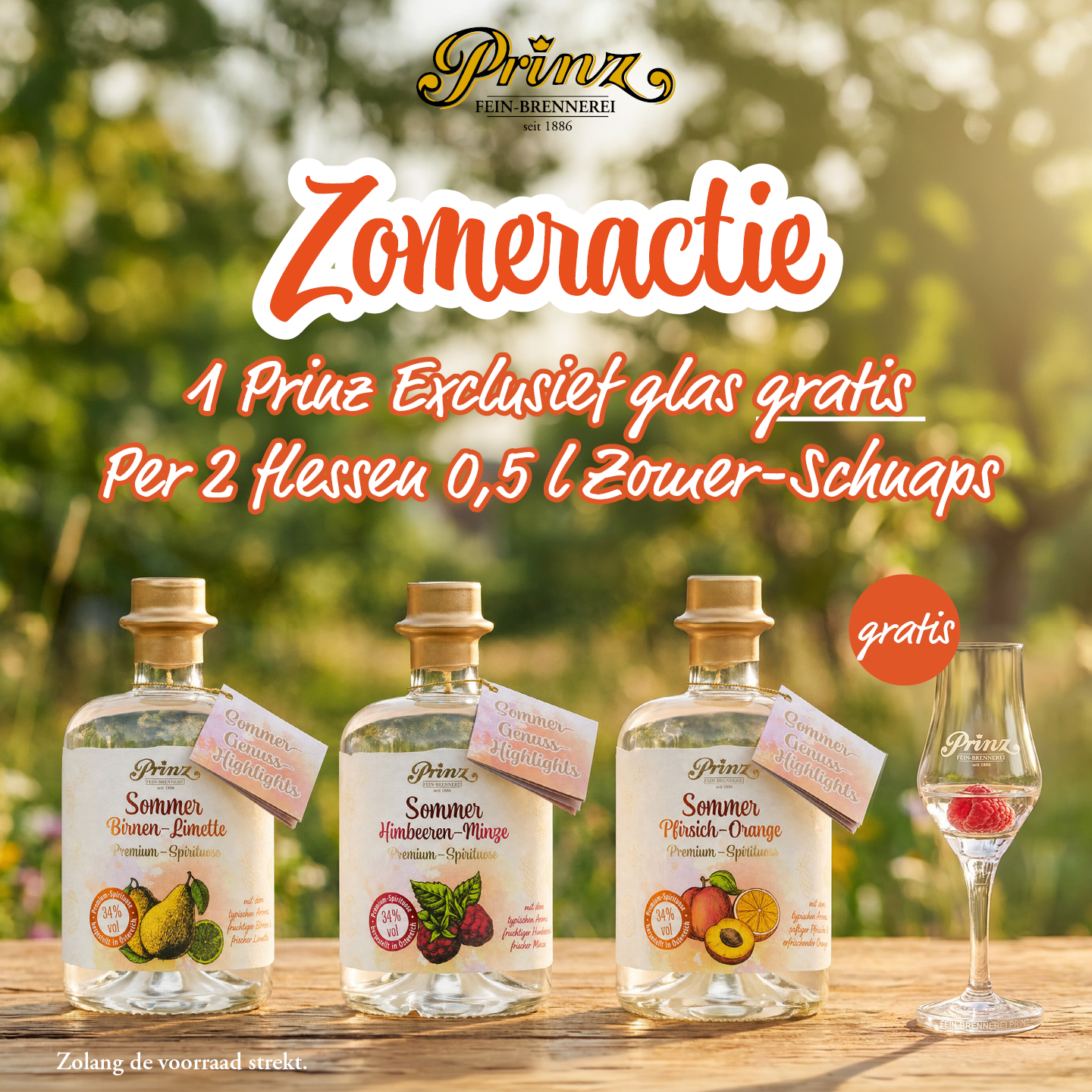 Gratis Exclusief glas