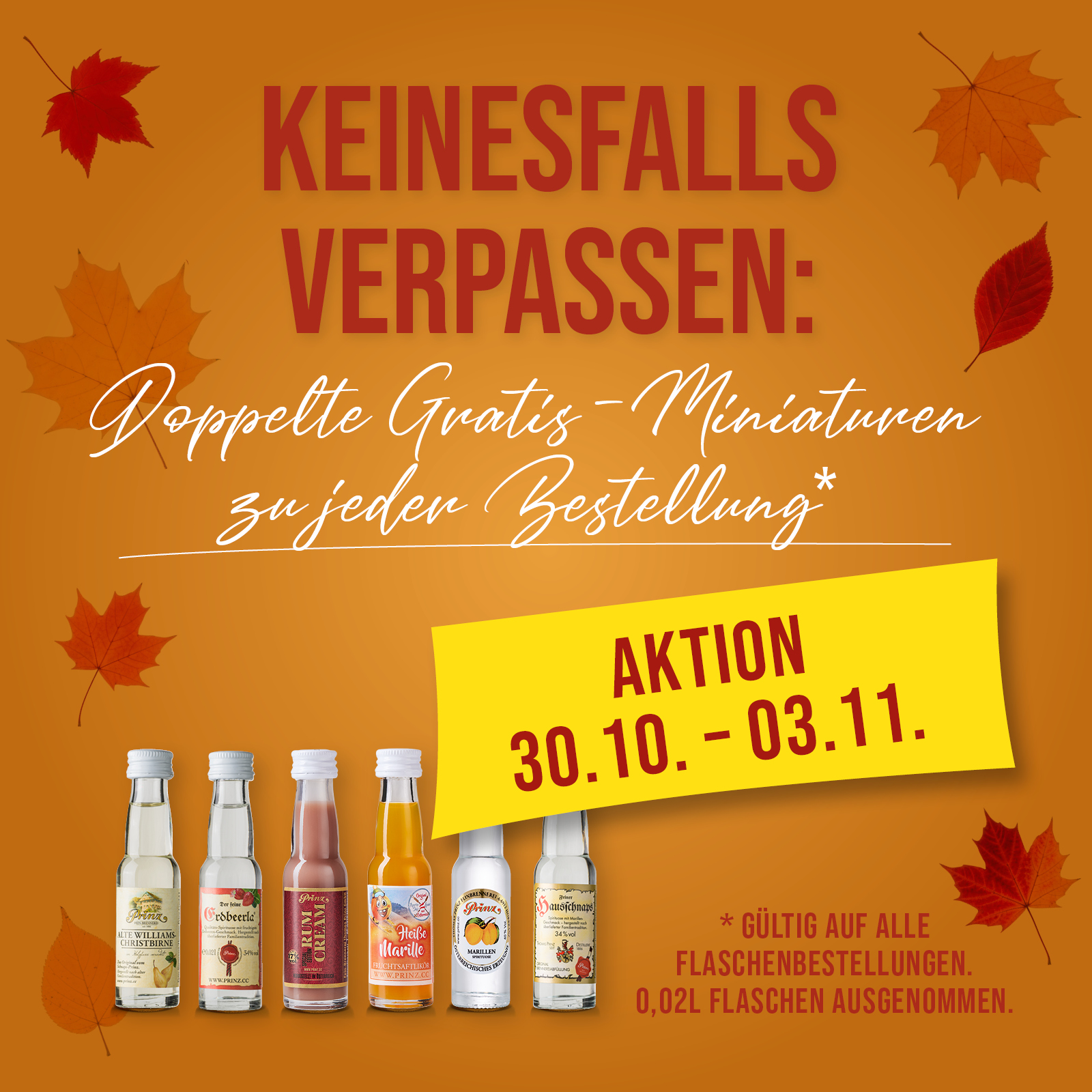 Jetzt Prinz Vielfalt entdecken!