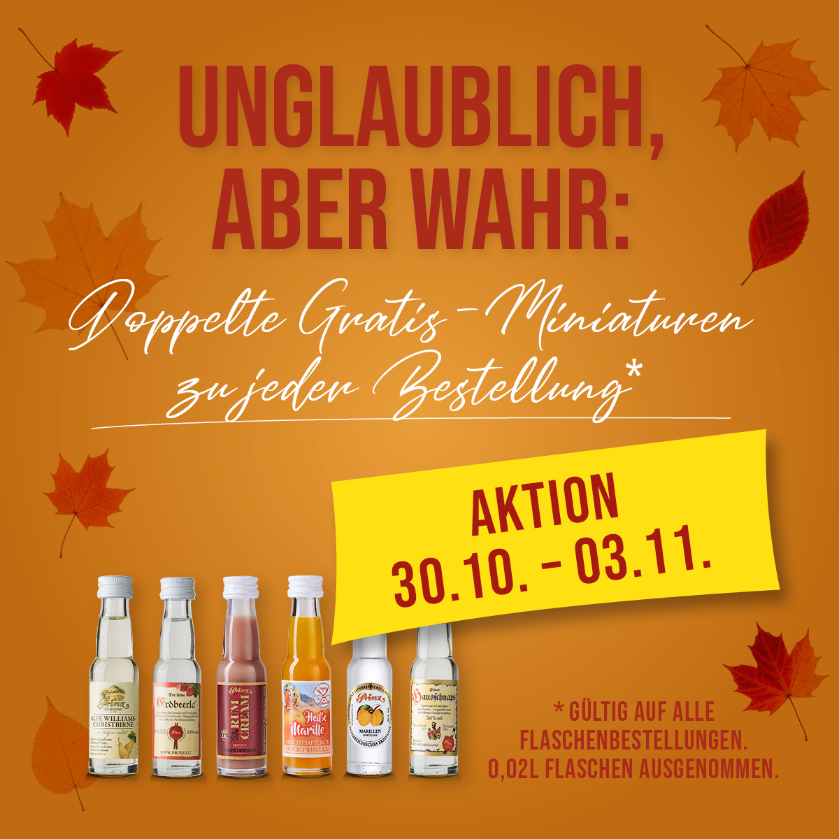 Jetzt Prinz Vielfalt entdecken!