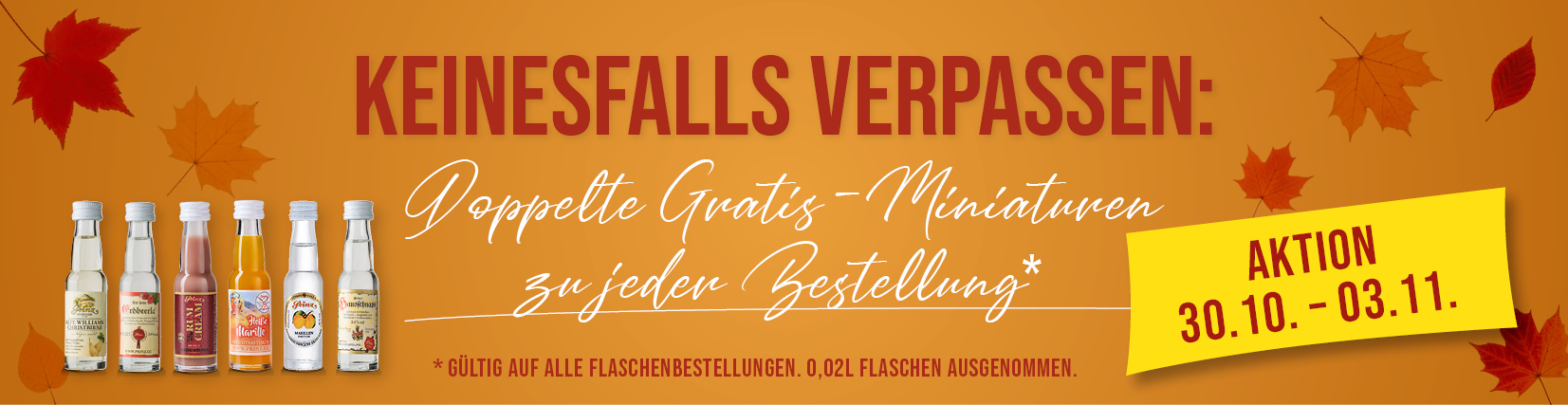 Jetzt Prinz Vielfalt entdecken!