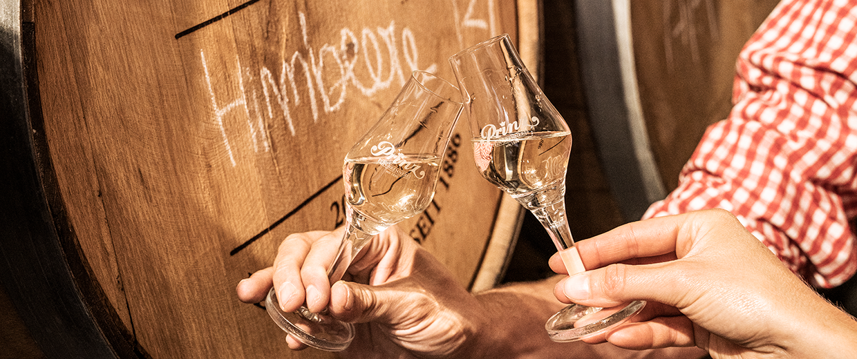 Anstoßen mit Schnaps im Prinz Exklusivkelch