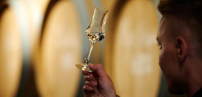 Schwenken eines Schnaps im Prinz Exklusivkelch