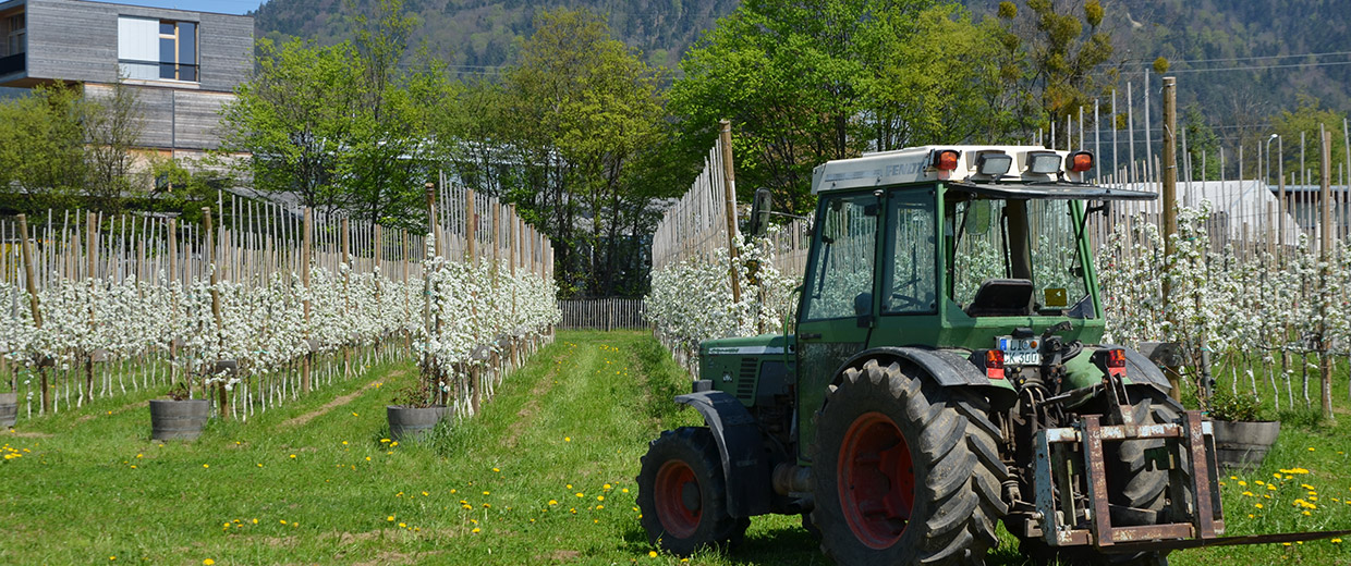 Traktor im Prinz Obsthof während der Blütezeit
