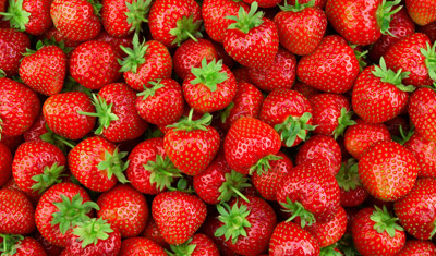 Vollreife, fruchtige, rote Erdbeeren